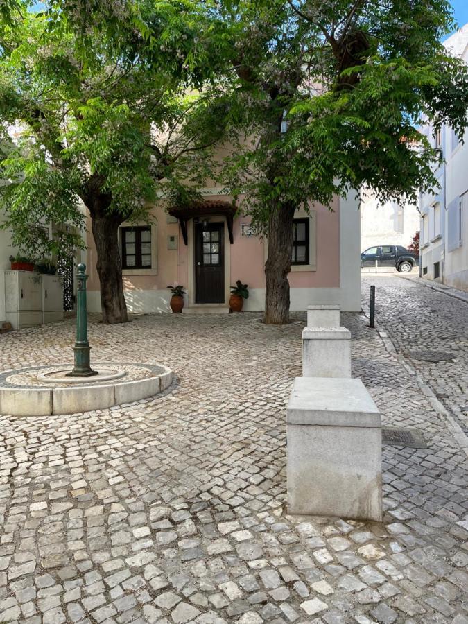 Casa Helio A 150M Da Praia Do Ouro 세심브라 외부 사진